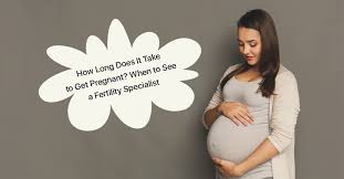consult fertility specialist